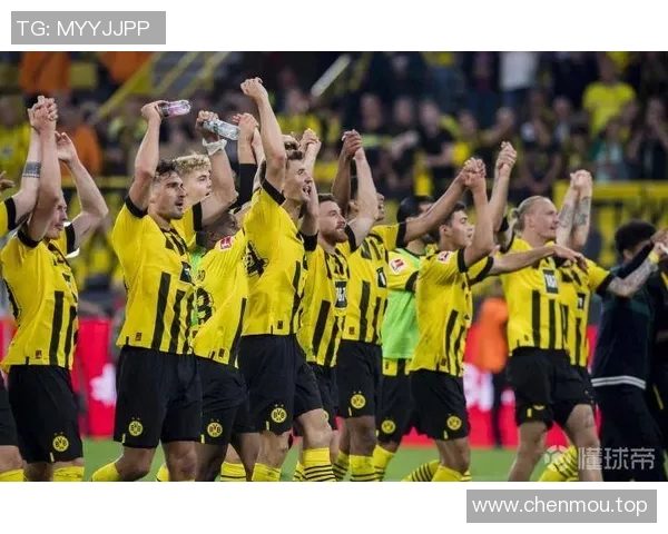 你不知道的多特蒙德：十大冷知识大揭秘